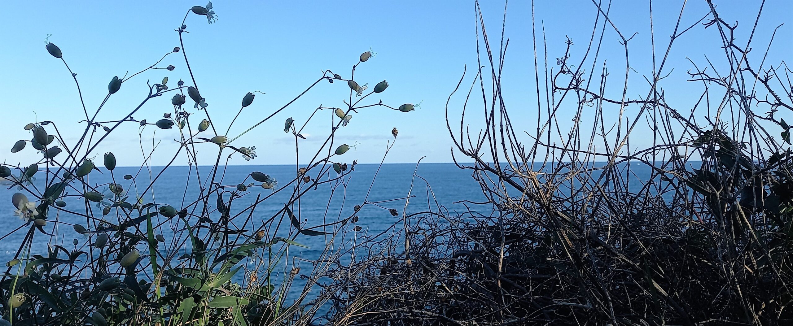 vibrant world mediterranean island sicily needs love 1mqdb imprints of peace