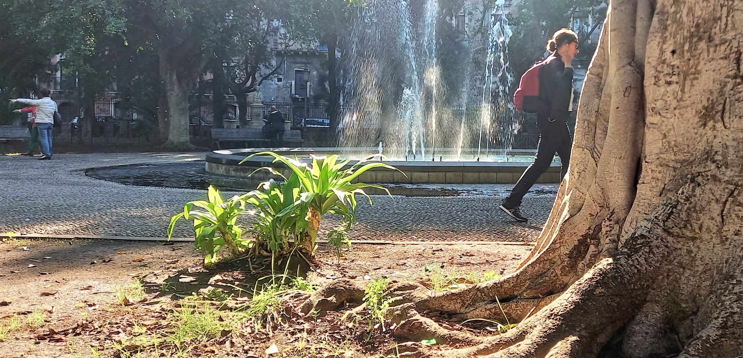 villa pacini catania visionaria 1mqdb verde urbano acqua potabile fontane ristoro del sentire sicily needs love