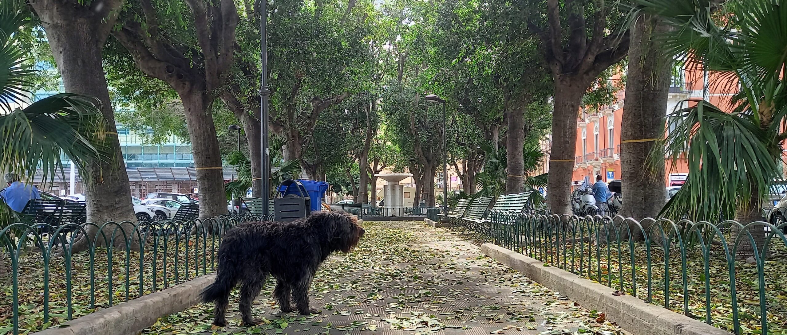 Catania Visionaria Il Parco Ritrovato Piazza Giovanni Verga 1mqdb Verde Urbano Cerchi d'Oro arte involontaria 9