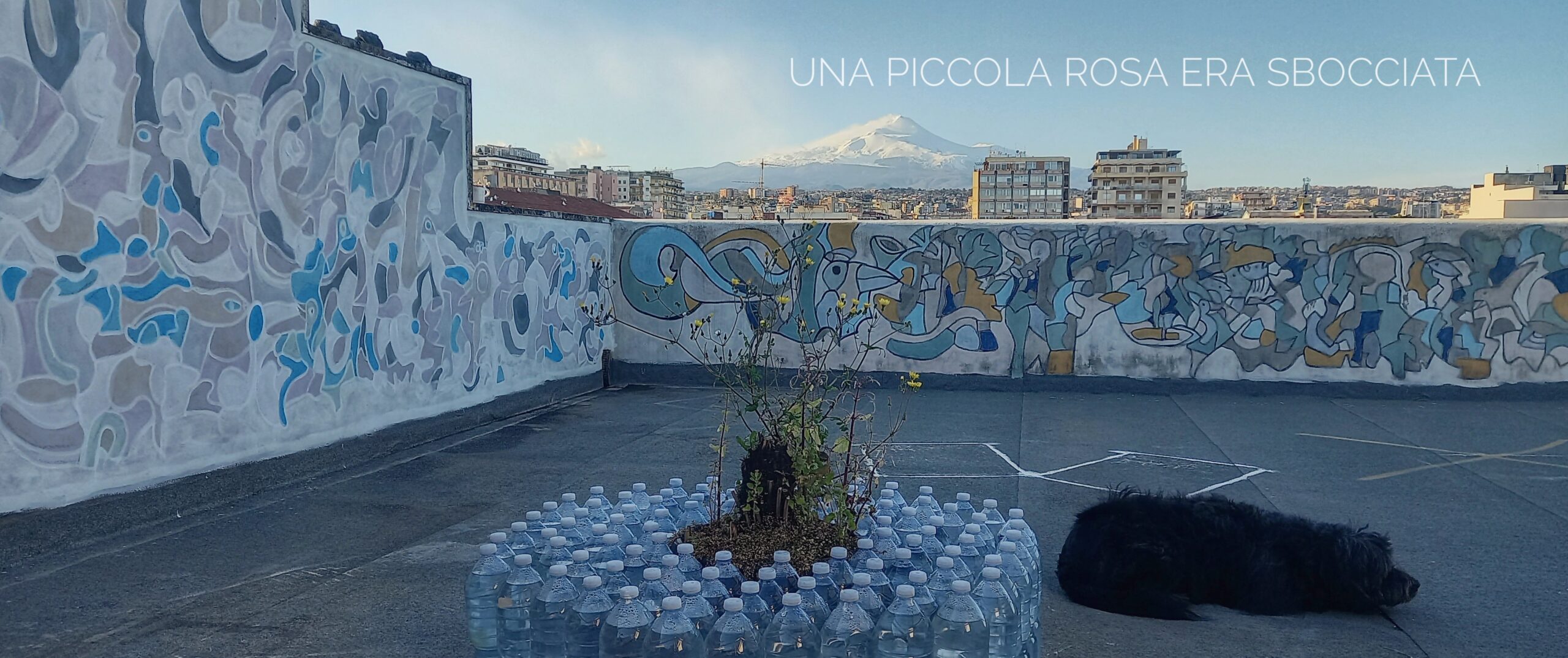 Una piccola rosa era sbocciata. Cortile delle Nevi Quantica Arcaica